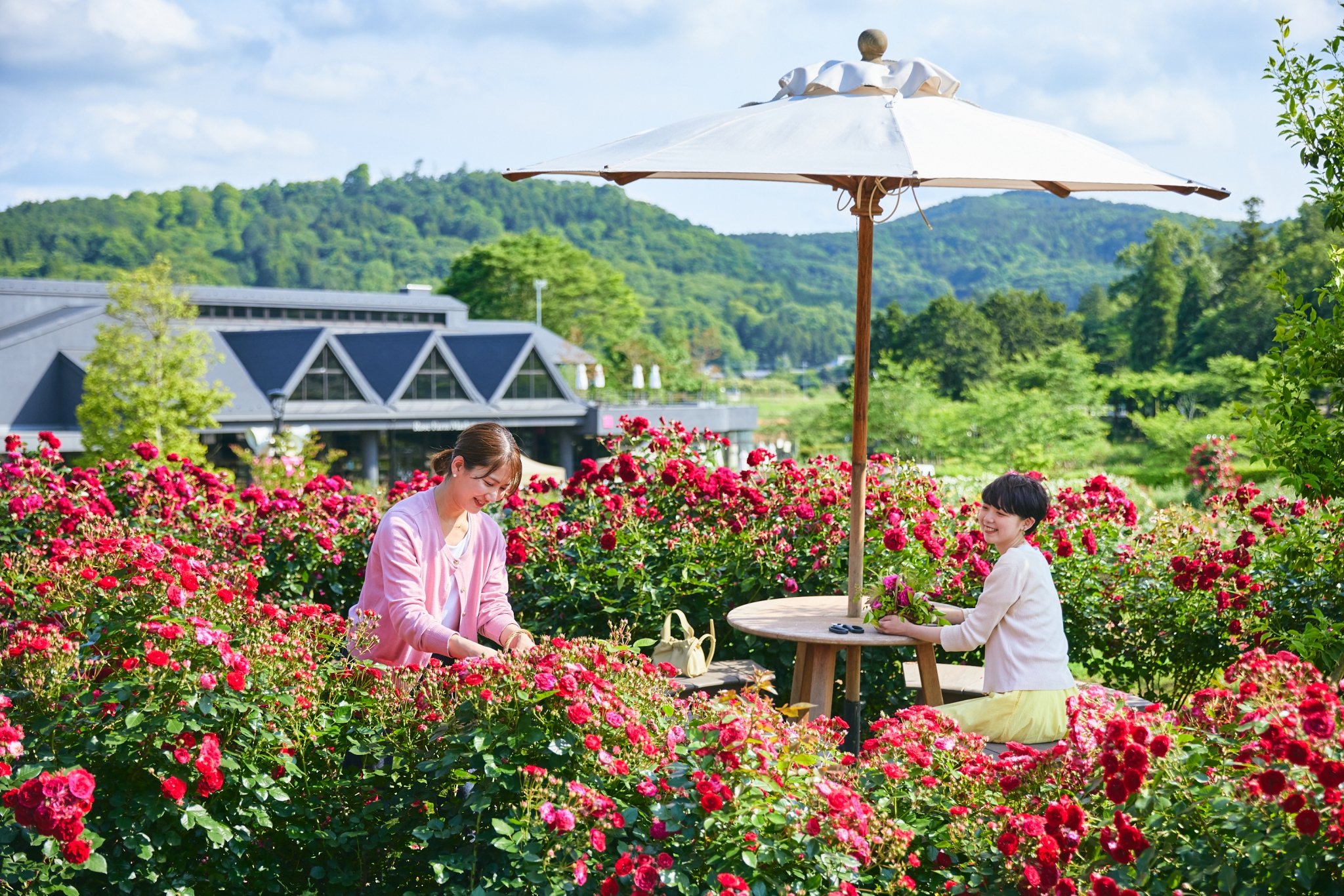 🌸 이바라키 플라워 파크